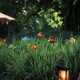thumbnail image 2 of Paquete de 50 mariposas de colores CHAO para decoración de jardín en palitos, 2 of 4