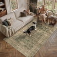 thumbnail image 3 of BERTHMEER 5'x7' Area Rugs for Living Room Vintage Brown Rugs for Bedroom Kitchen Non Slip Washable Carpets Oriental Distressed Home Office Dorm Dining Room Traditional Distressed Throw Rugs, 3 of 8