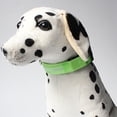 thumbnail image 5 of Vikakiooze items LED dog collar USB rechargeable, suitable for small and medium-sized dogs, 5 of 6