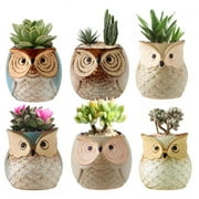 2.5 Inch Owl Ceramic Succulent Planter Pots with Drainage Hole Set of 6, Flowing Glaze Porcelain Handicraft Plant Holder Container Gift for Mom Sister Aunt Best for Home Office Garden Decoration