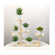 thumbnail image 3 of Plantas Suculentas  Lab.G Artificiales Macetas Decorativas Bonsai 6 pzs, 3 of 5