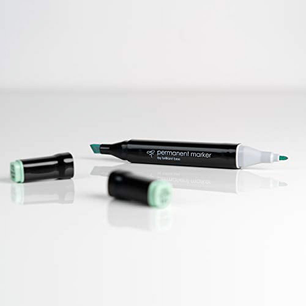 Brilliant Bee  60 Colors Permanent Marker Set  Bulk Pack, Assorted Colors, Chisel & Fine Point Tips, Long-Lasting Ink, Smear Proof