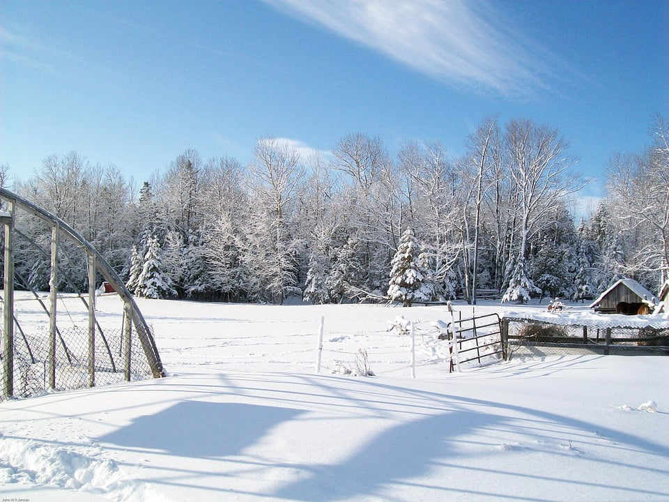 Framed Art For Your Wall Countryside Landscape Trees Winter Snow