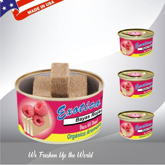 Exotica Car Air Freshener | Spill-proof Can | Organic | For Home & Auto | Long Lasting Freshness | (Pack of 12) (Rasberries)