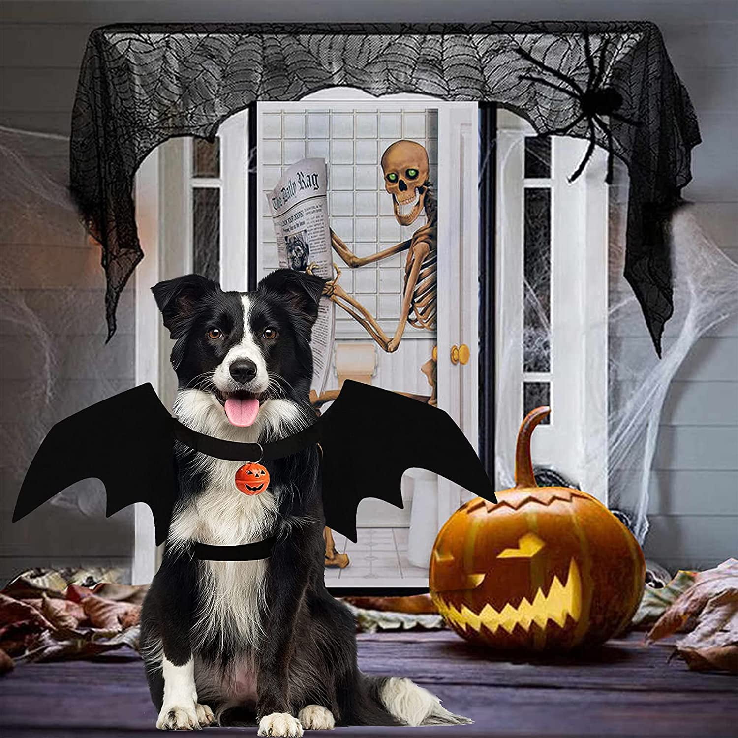 Dog bat wings costume discount
