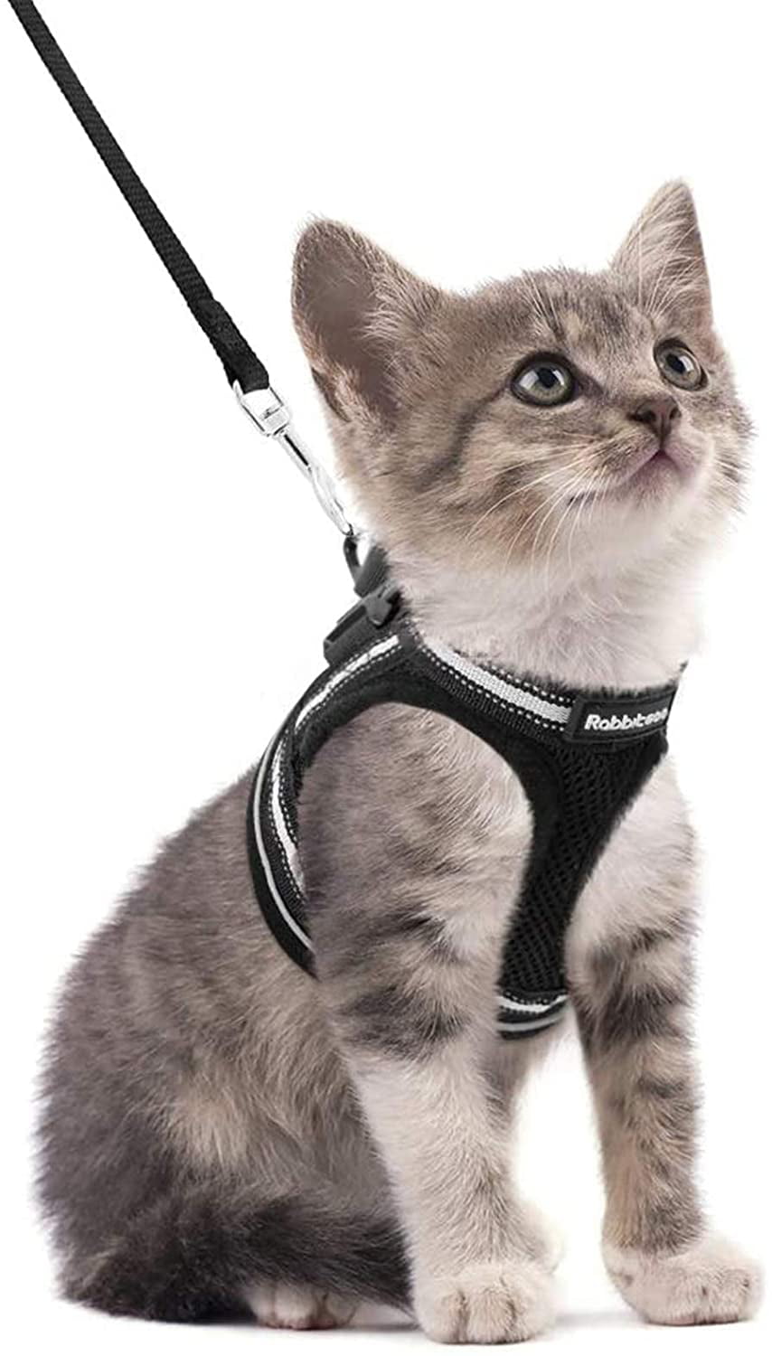 Cat Walking Harness Cat Harness Soft Mesh Vest Cat Leash Red Cat Clothes S M L 