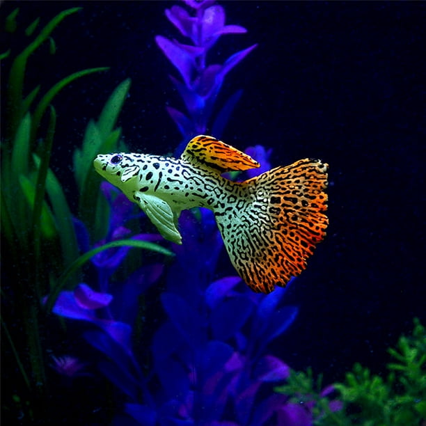 Plastic Swimming Faux Fake Gold Fish Aquarium Fish Tank Decor Orname Gift 