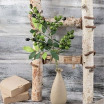 EGYMEN Berry Olive Fruit Branch, Simulated Olive Fruit Stem for Home Decoration, Artificial Plant Branch for Flower Wall Decor, Faux Olive Leaf Arrangement for Office Decoration(Green)