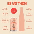 thumbnail image 3 of (Pack Of 12) De La Calle Tepache Grapefruit Lime 12 Fl Oz, 3 of 6