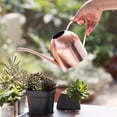thumbnail image 3 of Sunjoy Tech Small Watering Can, Bonsai Stainless Steel Plant Water Can for Indoor Office Plants and Garden Brass Long Spout, 3 of 8