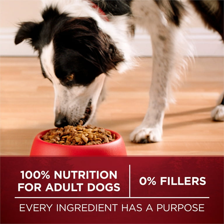 Turkey venison dog clearance food