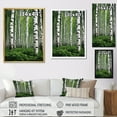 thumbnail image 4 of Designart "White Green Birch Tree I" Landscape & Nature Floater Framed Canvas Wall Art, 4 of 7
