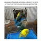 thumbnail image 2 of Stainless Steel Medium Small Parrots Mirror with Wooden Standing Rod Bird Cage Accessory, 2 of 4