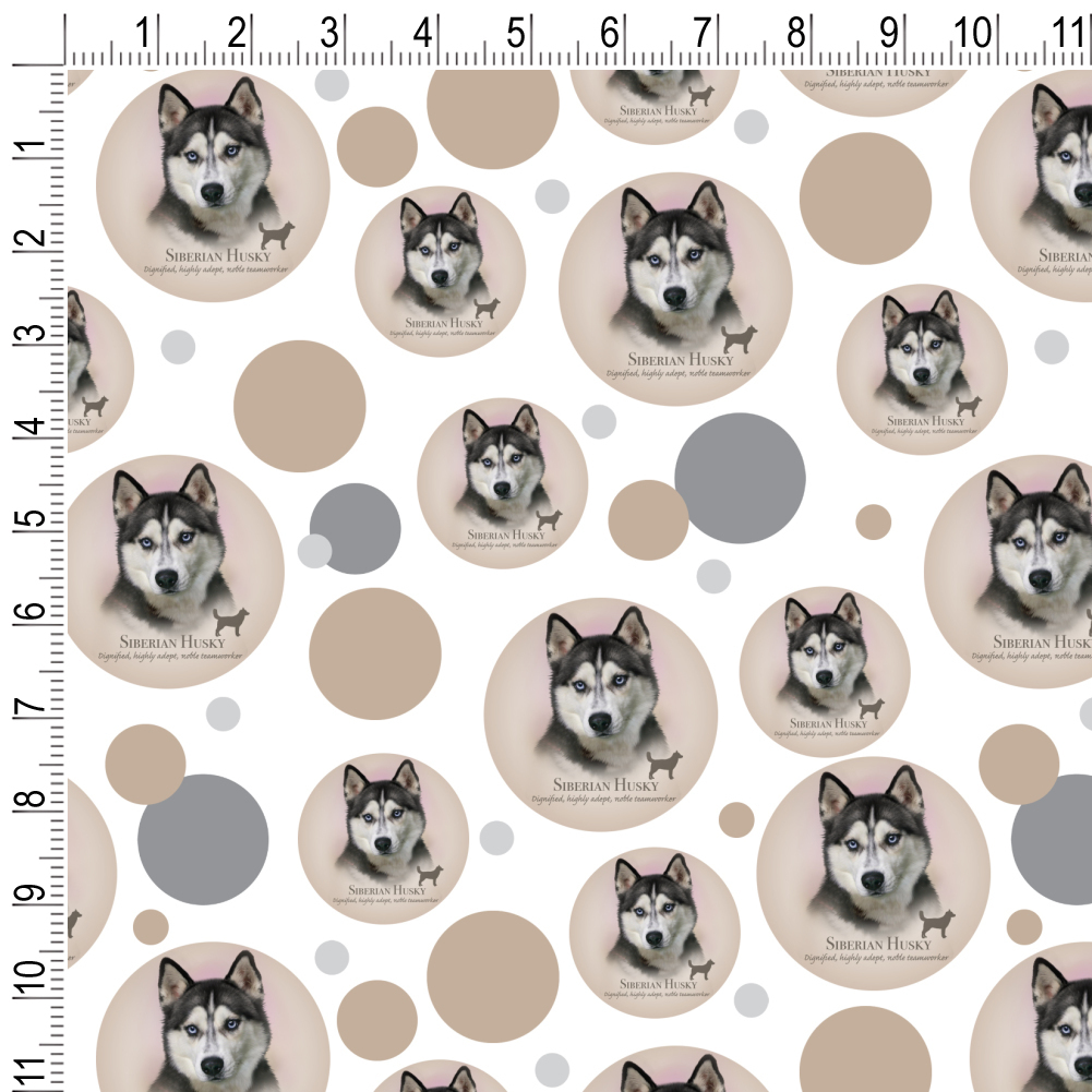 How Much Is A Husky With Papers