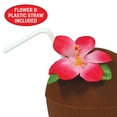 thumbnail image 5 of Beistle Hawaiian Luau Party Coconut Cup w Cover & Flower Straw 9", 5 of 8