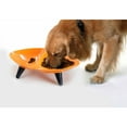 thumbnail image 2 of Pet Life ® 'Couture Sculptured' Dishwasher Safe Melamine Pet Bowl, 2 of 2