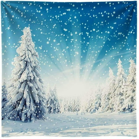 7x5ft Snow Wonderland Pine Tree Backdrop Christmas Winter White ...