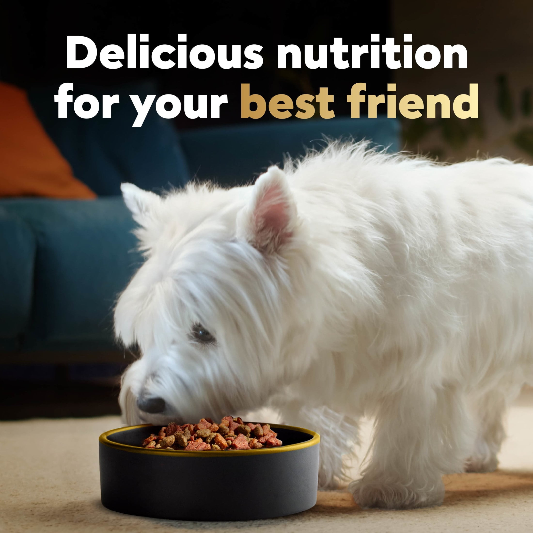 Caesar dog food dog breed hot sale