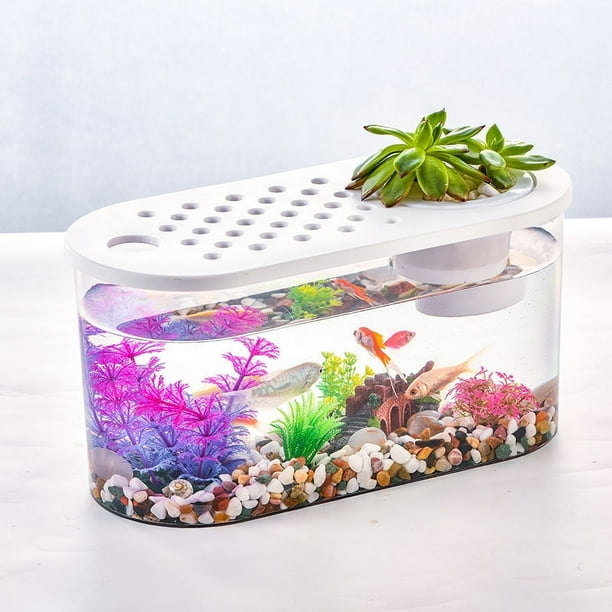 Pecera de plástico transparente ovalada con tapa, micropaisaje, para sala de estar, oficina, escritorio, pequeños adornos decorativos, pecera de peces de colores