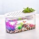 thumbnail image 1 of Pecera de plástico transparente ovalada con tapa, micropaisaje, para sala de estar, oficina, escritorio, pequeños adornos decorativos, pecera de peces de colores, 1 of 6