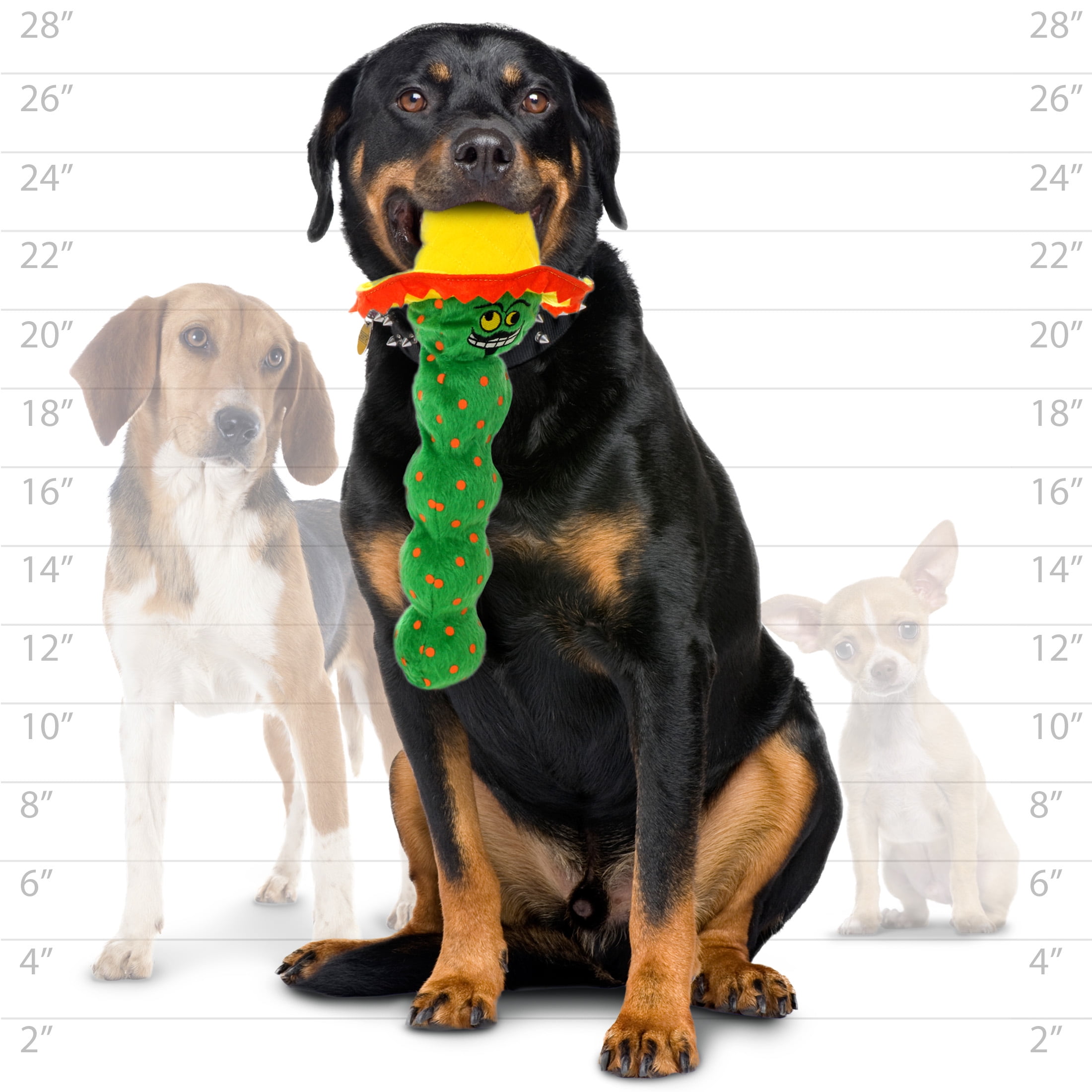 Mighty Tequila Worm Green Durable Plush Squeaky Dog Toy, 2-Pack