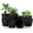 Black, variant on Plant Pots Indoor with Drainage - 7/6.6/6/5.3/4.8 Inch Flower Planters for Indoor Plants, Succulents, Cactus - Pack of 5 Plastic Home Decor Planters, Mint Color