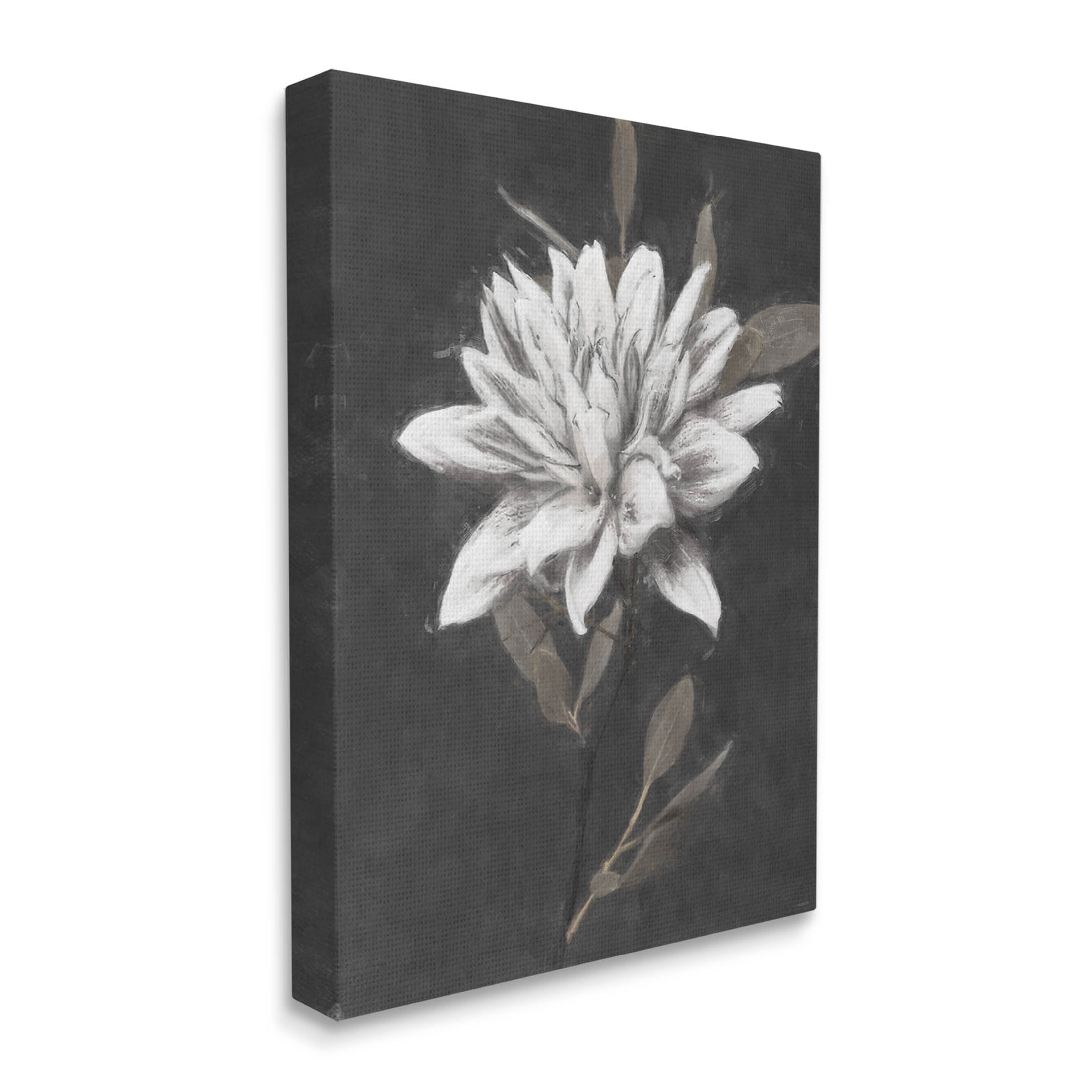 Stupell Industries Traditional White Dahlia Flower Graphic Art Gallery Wrapped Canvas Print Wall Art, Design by Nina Blue