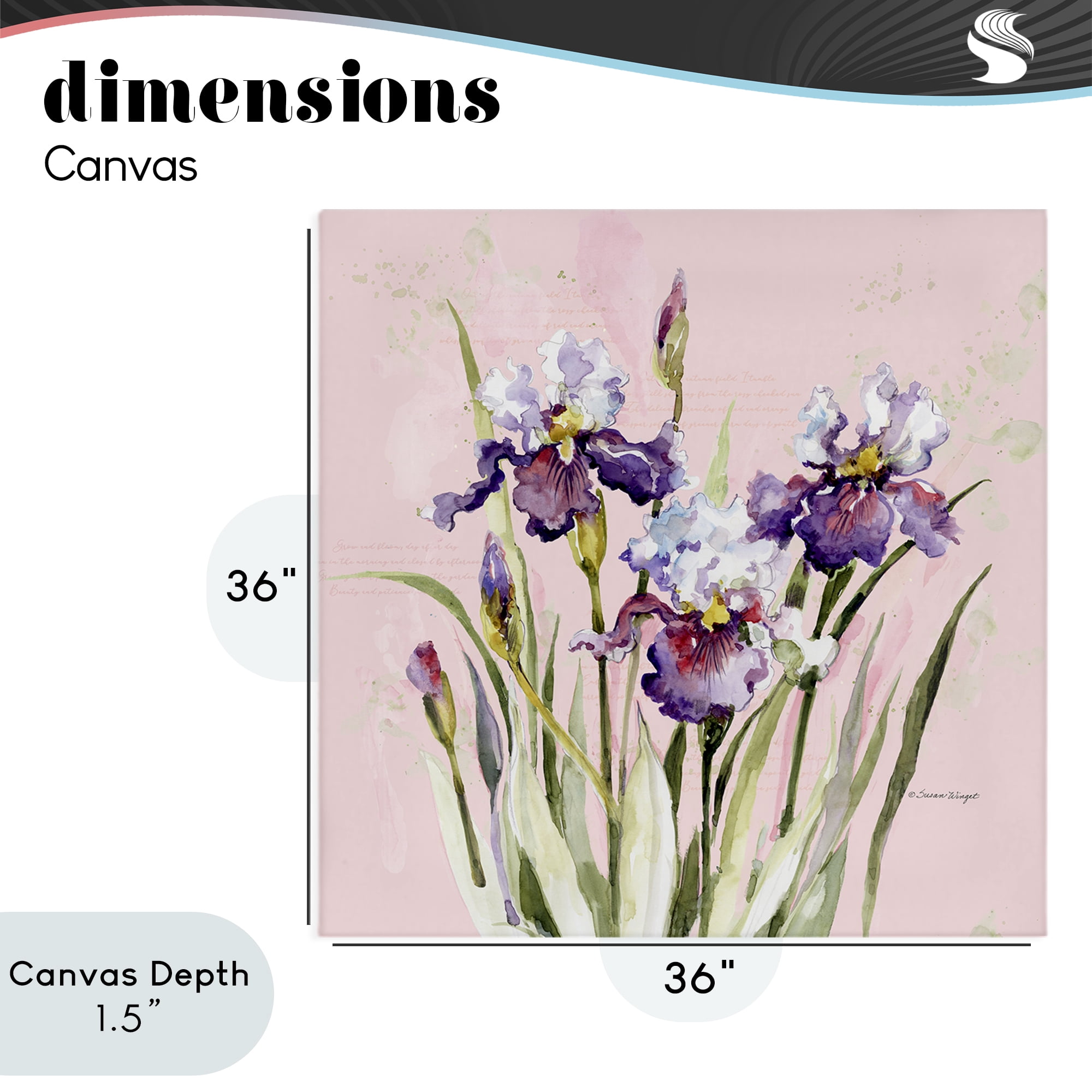Stupell Industries Purple Irises on Pink Canvas Wall Art, design by Susan Winget
