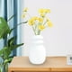 thumbnail image 5 of Jarrón de cerámica minimalista, arreglo floral, jarrones decorativos, jarrones ornamentales blanco escarchado, 5 of 8