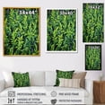 thumbnail image 4 of Designart "Tales of Tarragon Herbs II" Floral Canvas Wall Art - Traditional Green Herbs Hallway Wall Art Decor, 4 of 6
