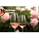 thumbnail image 2 of Pack De 3 Vino Rosado Frizzante Estrella De Murviedro Rose 750Ml, 2 of 2