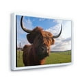 thumbnail image 3 of Close Up Portrait Of A Yak 20 in x 12 in Framed Photography Canvas Art Print, by Designart, 3 of 5