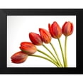 thumbnail image 2 of Frank, Assaf 18x15 Black Modern Framed Museum Art Print Titled - Tulip flowers, 2 of 5