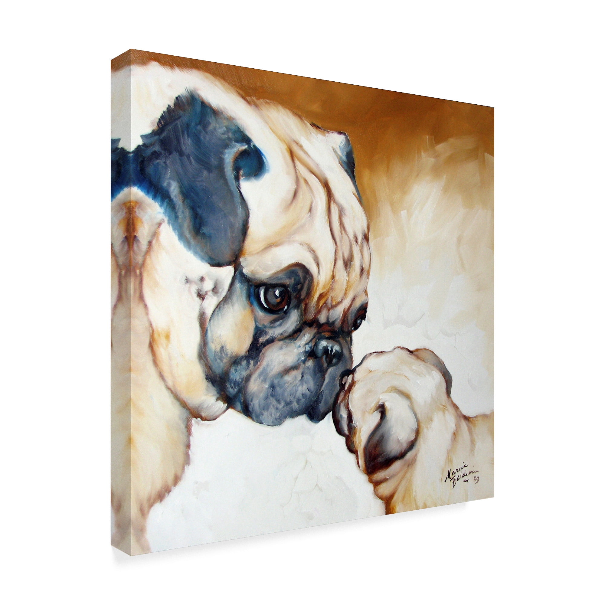 Trademark Fine Art 'Pug 2' Canvas Art by Marcia Baldwin
