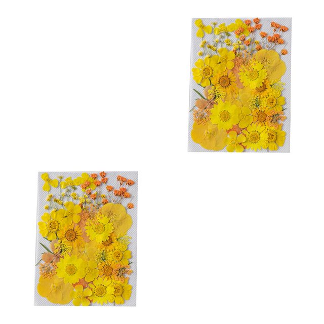 Yuarrent Flores secas naturales Artísticas Flores prensadas Belleza Joyas Decoraciones Postales decorativas Regalos para tarjetas de boda de resina Typ 1 2piezas Yuarrent CBP186602