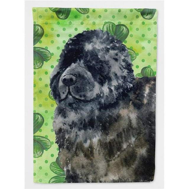 Carolines Treasures BB9845GF Drapeau Terre-Neuve St. Patricks - Taille Jardin
