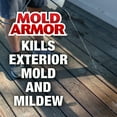 MOLD ARMOR EZ Deck, Fence and Patio Wash, 128 oz., 2 Pack