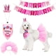 thumbnail image 1 of Bandana de cumpleaños para perro, suministros para fiesta de cumpleaños, falda tutú rosa, sombrero de corona, bufanda, pancarta de feliz cumpleaños, traje de cumpleaños para mascota, cachorro, gato y, 1 of 8