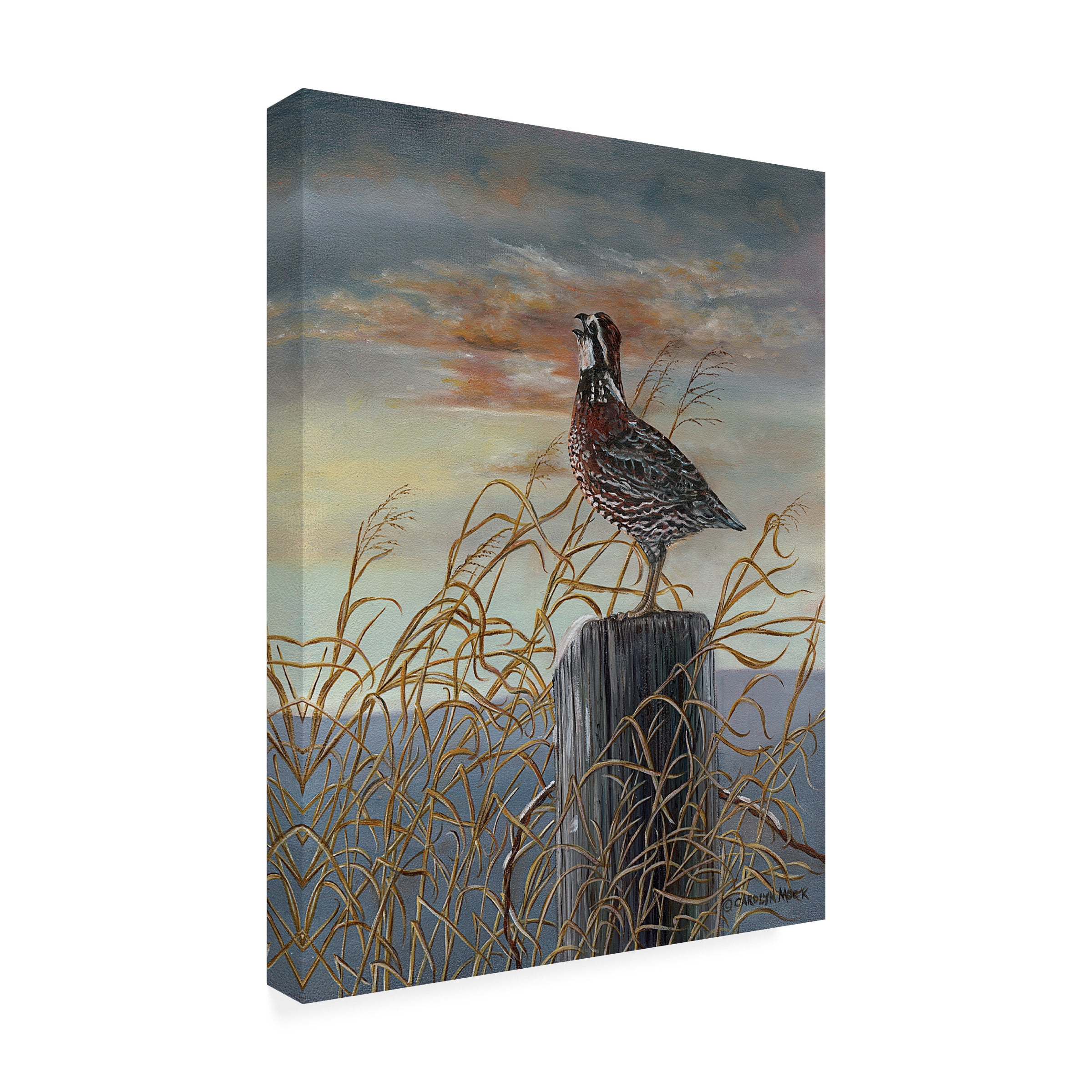 Trademark Fine Art Carolyn Mock Quail On A Post Canvas Wall Art - 18x24