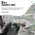 thumbnail image 4 of Bola de hierba gatera, juguete para gatito, juguete para masticar, hierba gatera Natural y saludable, limpieza bucal de dientes de gato, 4 of 5