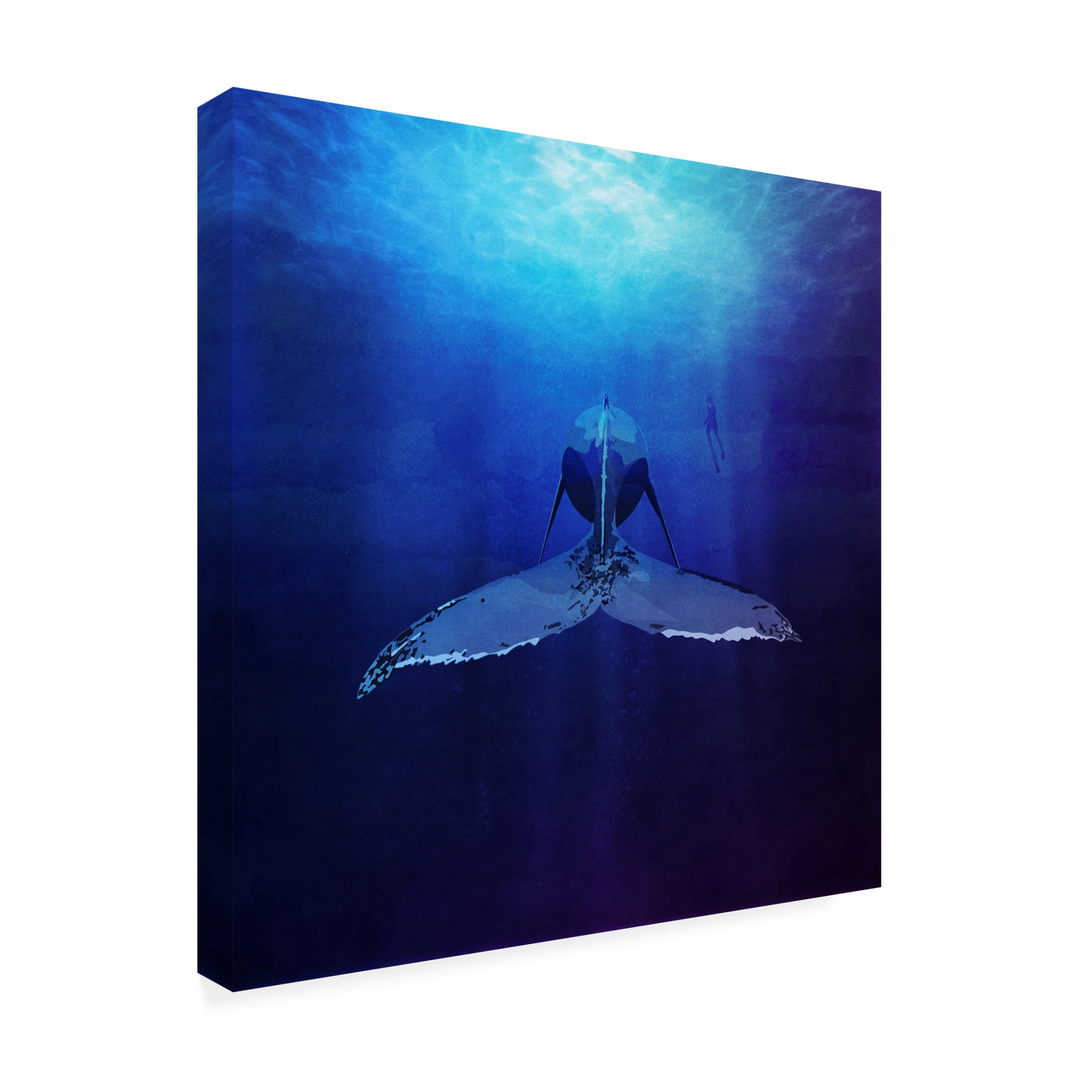 Trademark Fine Art Emel Tunaboylu Whale Canvas Wall Art