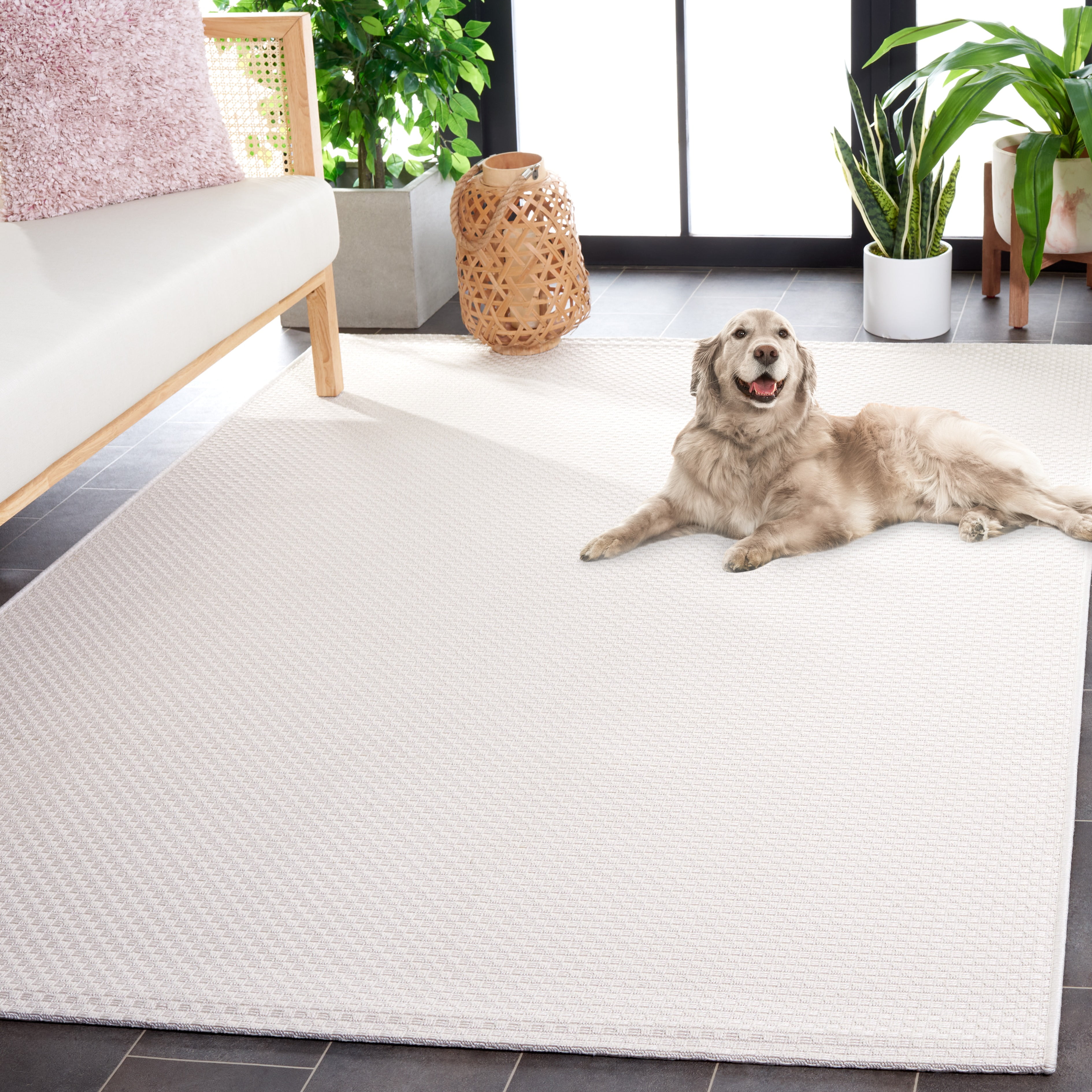 SAFAVIEH Sisal All-Weather Ophelia Solid Indoor/Outdoor Area Rug, Ivory, 9' x 12'