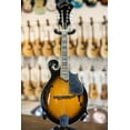 thumbnail image 2 of Gold Tone GM-35 F-Style Mandolin Tobacco Sunburst, 2 of 11