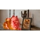 thumbnail image 4 of Urna Funeraria para Cenizas de Cremación Mascota tipo Pomerania, 4 of 5