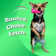 Hartz DuraPlay Medium Dog Bone, Latex, 1 Count