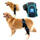 thumbnail image 1 of Rodillera para perros HAPPY PETS CO ajustable para ligamento cruzado, 1 of 9