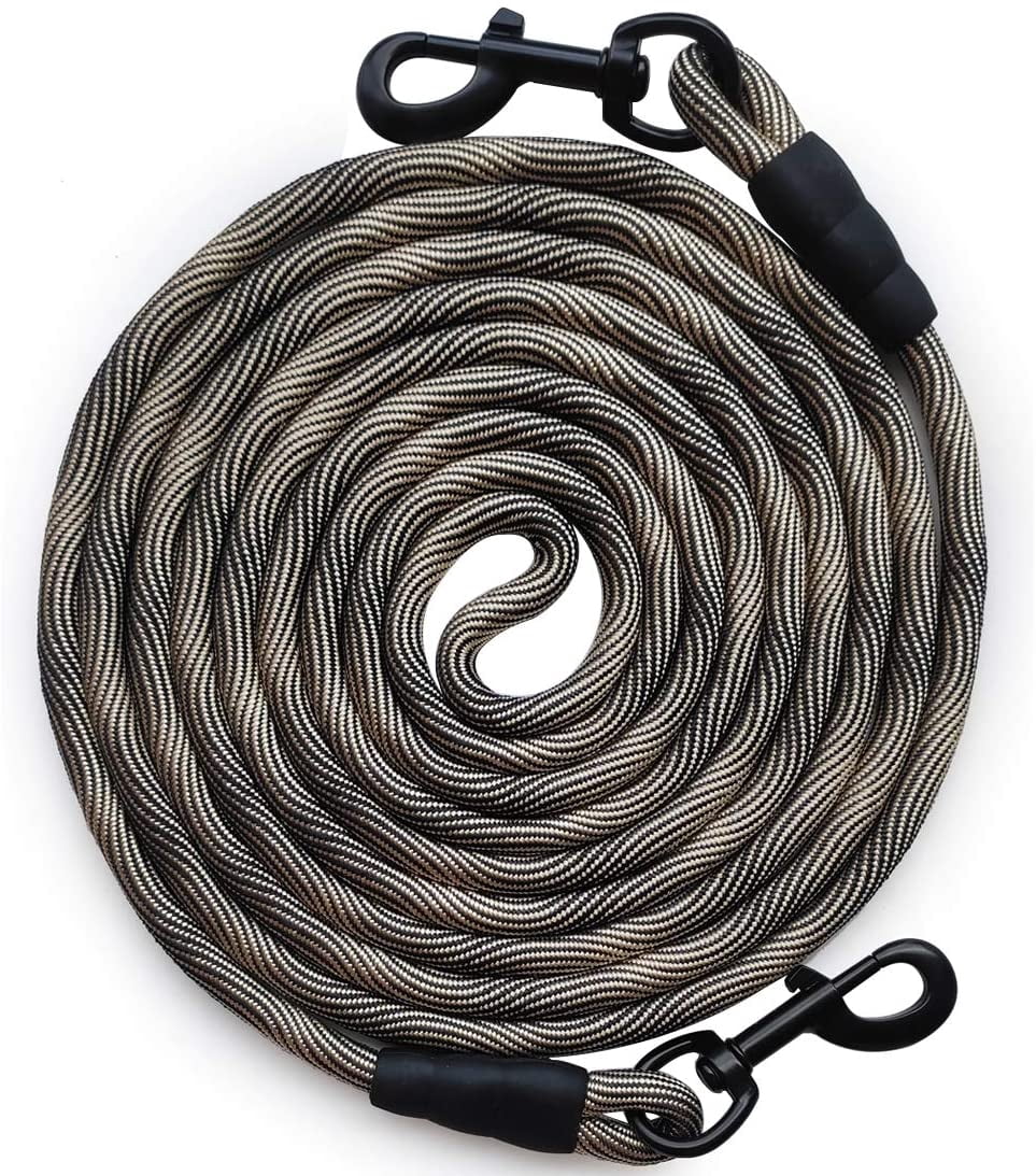 long backyard dog leash
