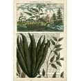 thumbnail image 2 of Vision Studio 23x32 Gold Ornate Wood Framed with Double Matting Museum Art Print Titled - Journal of the Tropics III, 2 of 4