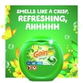 thumbnail image 6 of Gain Flings Laundry Detergent Soap Pods, Original Scent, 42 Ct, 6 of 10