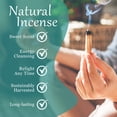 thumbnail image 4 of Varillas de incienso Palo Santo, imaginación alternativa, paquete de 6, 4 of 7